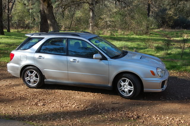 Name:  DSC_0103-1.jpg
Views: 14
Size:  121.7 KB