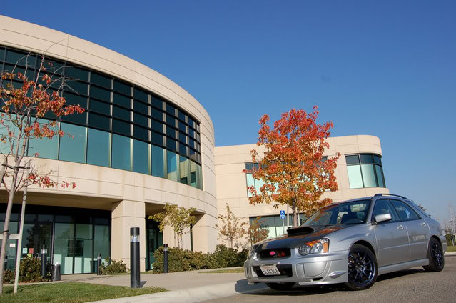 Name:  DSC_0008_edit.jpg
Views: 27
Size:  57.8 KB