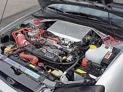 New here.  SUP YALL!-mvc-056f.jpg