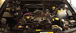 Lets see those engine bay pics w/mods-engine-bay.jpg