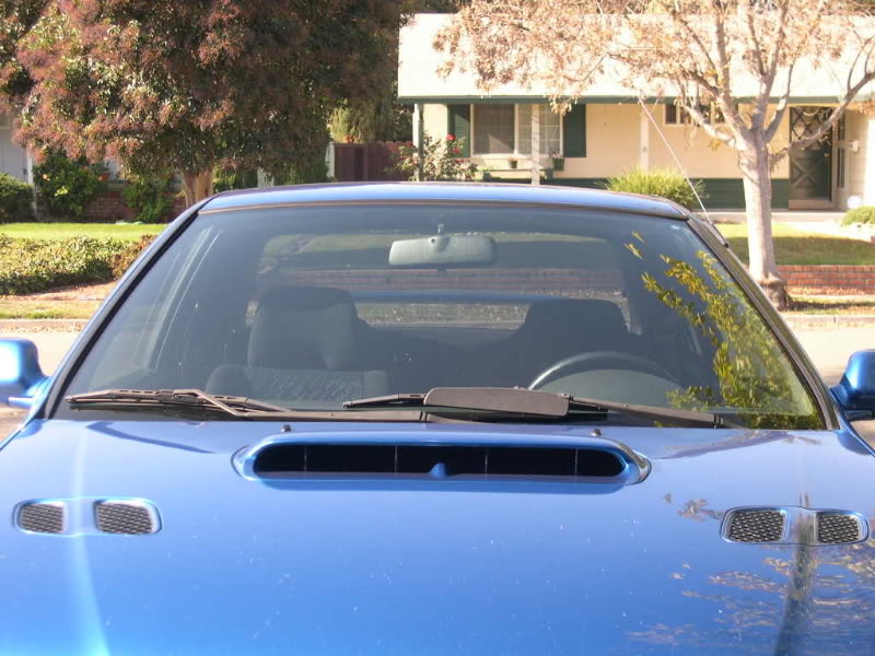 Name:  tint5.jpg
Views: 29
Size:  99.0 KB