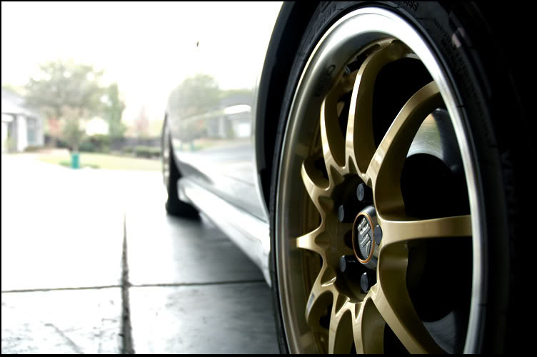 Name:  fall1.jpg
Views: 24
Size:  45.8 KB