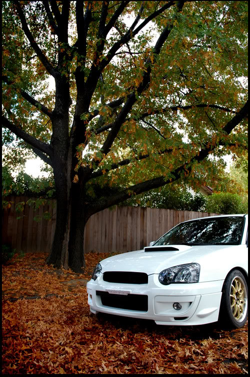 Name:  fall9.jpg
Views: 22
Size:  155.3 KB