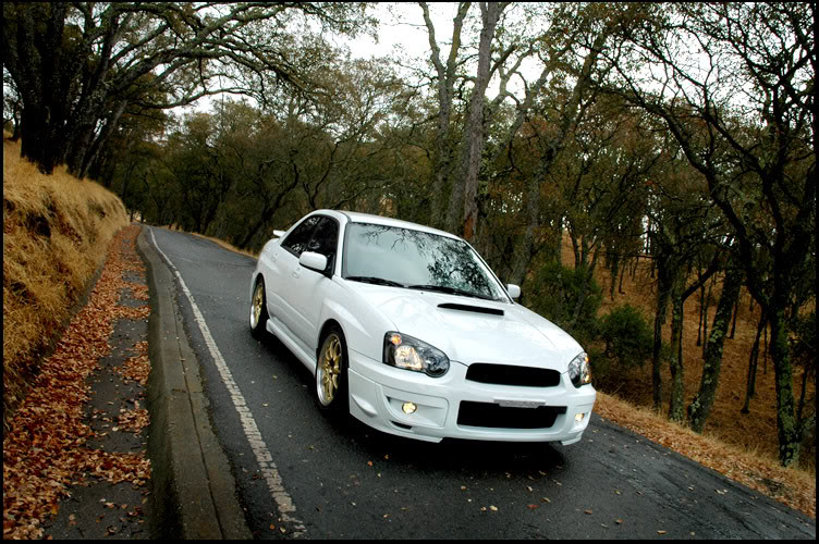 Name:  fall11.jpg
Views: 22
Size:  142.7 KB