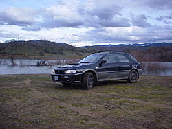 Subies playing in the mud. Let's see em.-53365.jpg