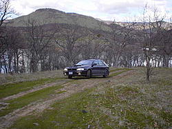 Subies playing in the mud. Let's see em.-84978.jpg