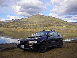 Subies playing in the mud. Let's see em.-kjbhdf.jpg