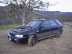 Subies playing in the mud. Let's see em.-4347.jpg