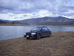 Subies playing in the mud. Let's see em.-78683.jpg