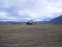 Subies playing in the mud. Let's see em.-3521351.jpg