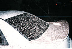 Subies playing in the mud. Let's see em.-dirtyback.jpg
