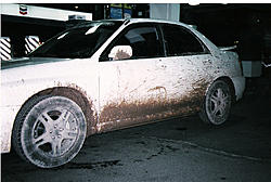 Subies playing in the mud. Let's see em.-dirtydrive.jpg