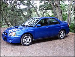 my 04 wr blue rex-rex2.jpg