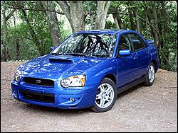 my 04 wr blue rex-rex1.jpg