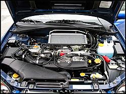 my 04 wr blue rex-rex3.jpg