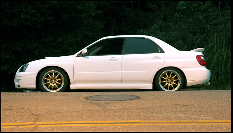 Name:  DSC_2310copy.jpg
Views: 25
Size:  67.8 KB