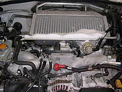 Lets see those engine bay pics w/mods-motor-1.jpg