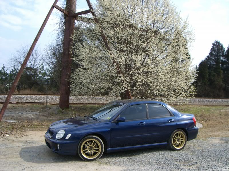 Name:  sideshoot4.jpg
Views: 16
Size:  122.0 KB