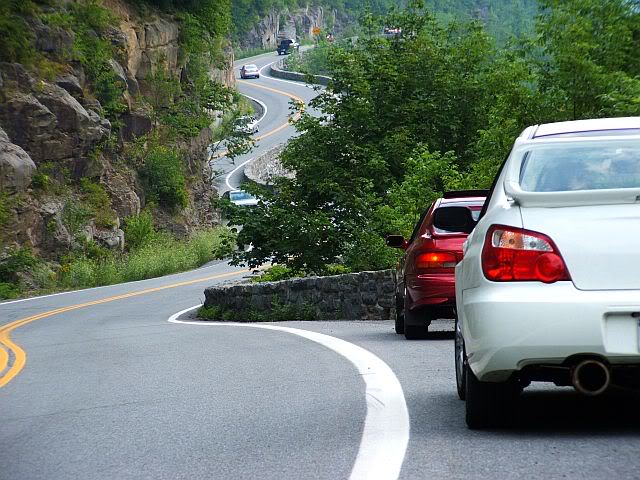 Name:  hawksnest.jpg
Views: 21
Size:  77.4 KB