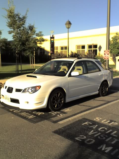 Name:  07-10-06_1854.jpg
Views: 23
Size:  56.3 KB