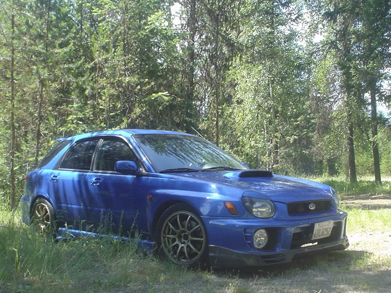 Name:  0bc5e044.jpg
Views: 29
Size:  176.8 KB