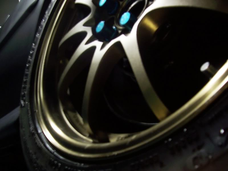 Name:  100_1264b.jpg
Views: 17
Size:  40.7 KB