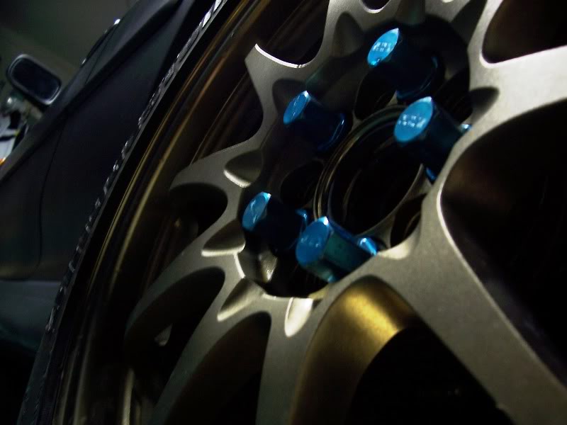 Name:  100_1265b.jpg
Views: 17
Size:  43.8 KB