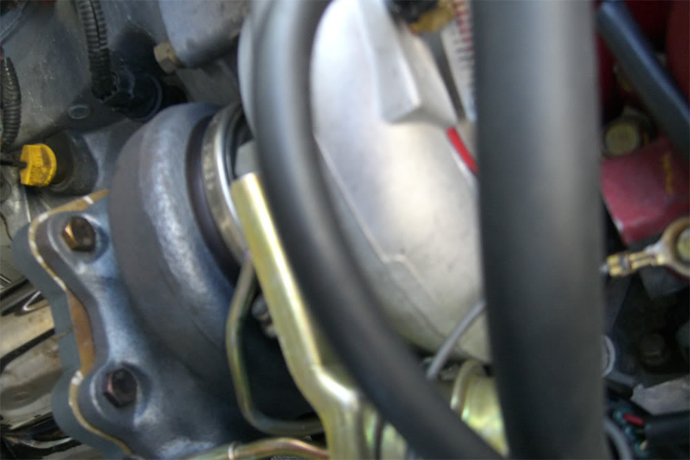 Name:  CIMG0689.jpg
Views: 14
Size:  61.9 KB