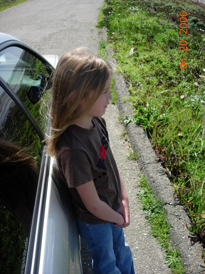 Name:  DSCN0862.jpg
Views: 12
Size:  156.8 KB