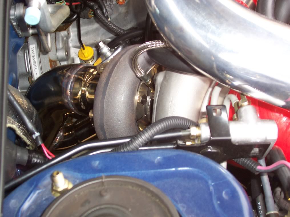 Name:  100_0228.jpg
Views: 16
Size:  108.6 KB