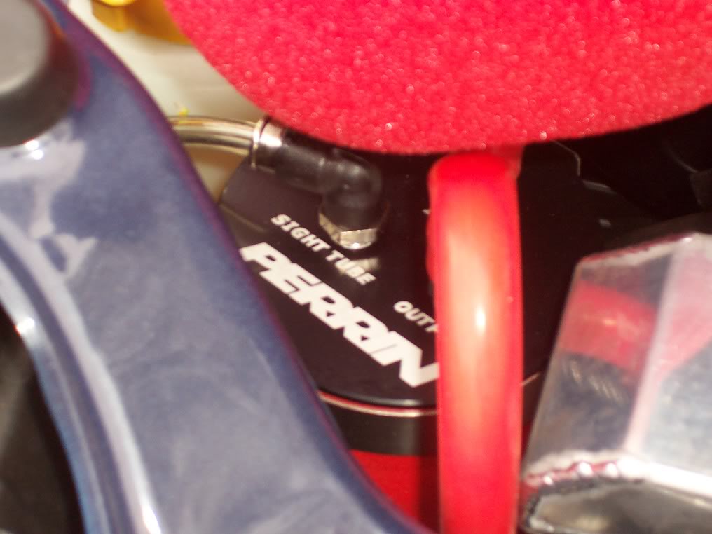 Name:  100_0231.jpg
Views: 16
Size:  67.9 KB