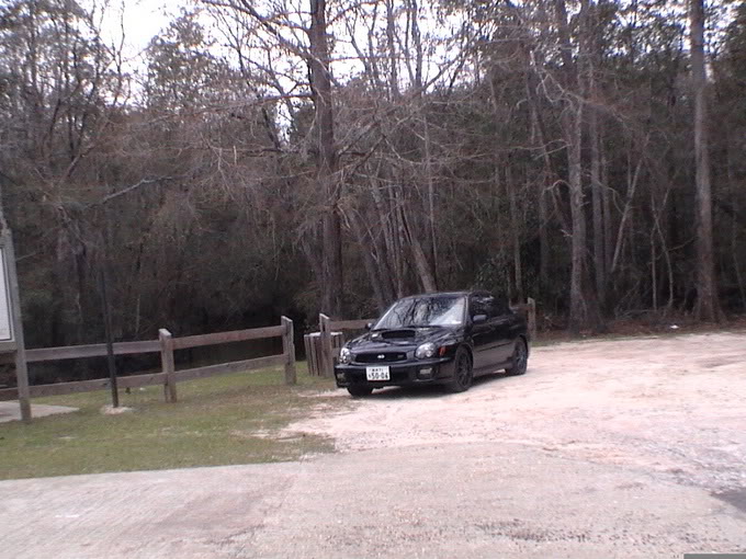 Name:  0602f54c.jpg
Views: 14
Size:  92.2 KB