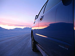 subies in snow-natur-011l.jpg