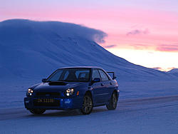subies in snow-natur-005l.jpg