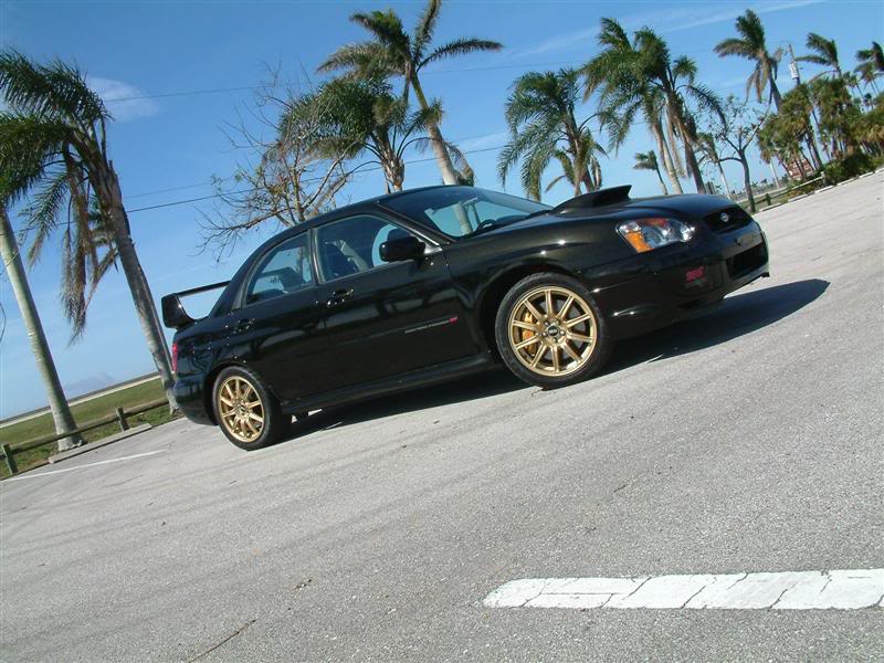 Name:  Pic013Medium.jpg
Views: 11
Size:  94.2 KB
