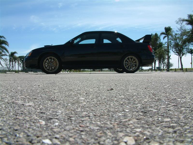 Name:  Pic025Medium.jpg
Views: 12
Size:  79.7 KB