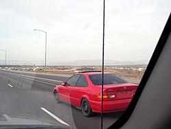 Super rice thread...-rice-2.jpg