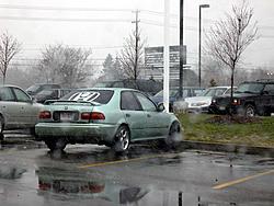 Super rice thread...-rice-3.jpg