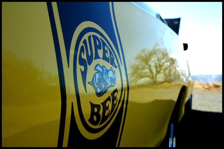 Name:  mtdiablo009.jpg
Views: 14
Size:  52.8 KB