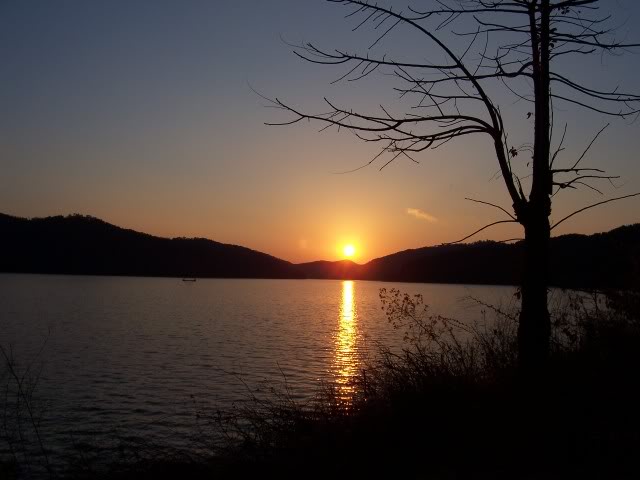 Name:  000_0256.jpg
Views: 21
Size:  38.3 KB