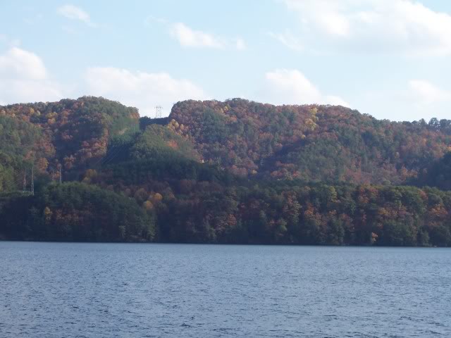 Name:  f3046741.jpg
Views: 20
Size:  44.4 KB