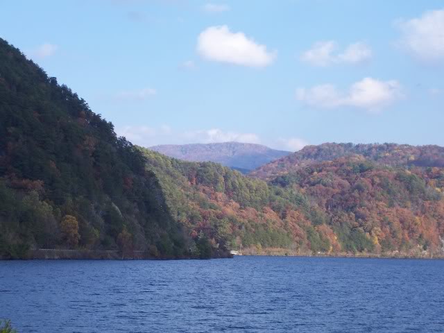 Name:  259b6d9b.jpg
Views: 19
Size:  44.8 KB