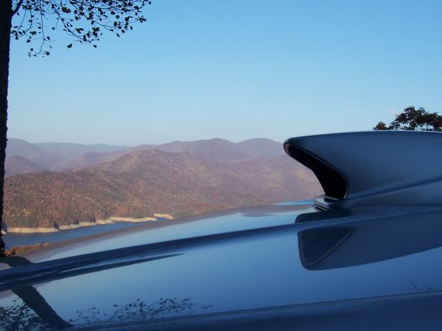 Name:  000_0250.jpg
Views: 20
Size:  31.9 KB