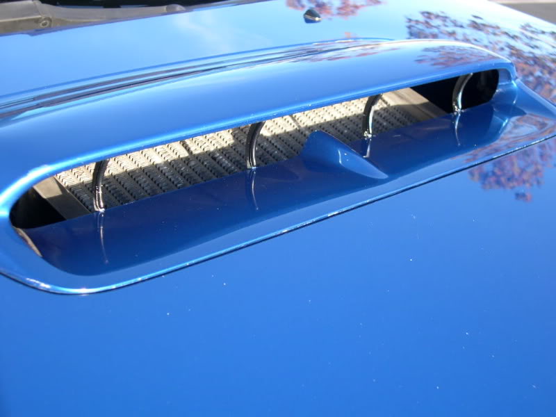 Name:  washed6.jpg
Views: 26
Size:  53.5 KB