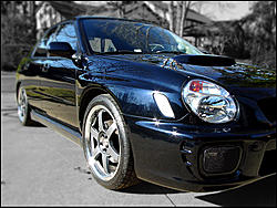 Cool pic.-leftfrontchopped.jpg