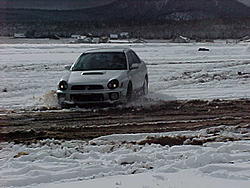 Subies playing in the mud. Let's see em.-mvc-022s.jpg