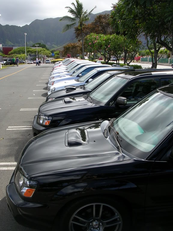 Name:  2005pics105.jpg
Views: 17
Size:  102.4 KB