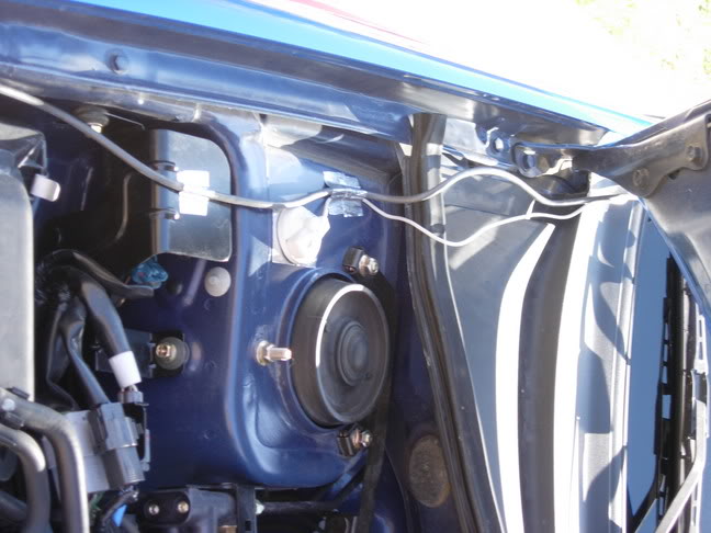 Name:  DSCN1627.jpg
Views: 14
Size:  57.0 KB