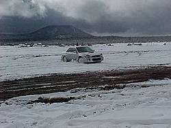 Subies playing in the mud. Let's see em.-mvc-018s.jpg