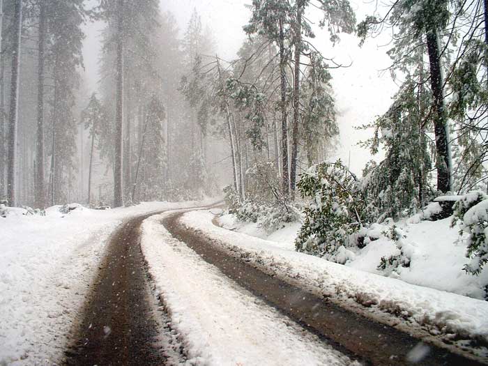 Name:  snowyroad.jpg
Views: 55
Size:  68.7 KB